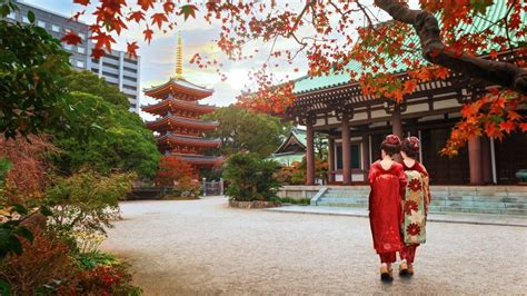 福岡空港近く ホテル 格安 - 空の旅と地の宿、その微妙な関係