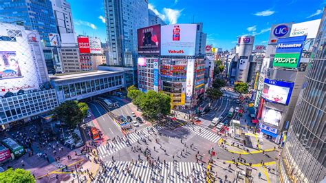 表参道駅 ランチ ～ 東京の食文化を探る